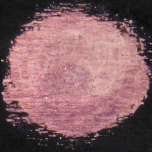 Kép 2/8 - Chameleon viaszpaszta barack 20 ml