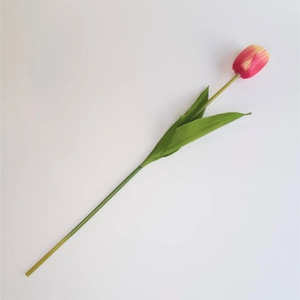 Kép 1/2 - szálas tulipán