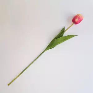 Kép 1/2 - szálas tulipán