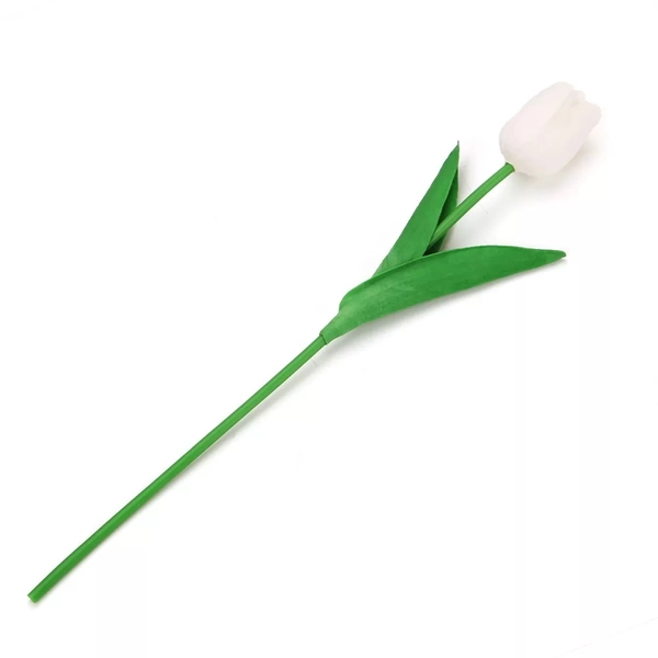 szálas tulipán, fehér