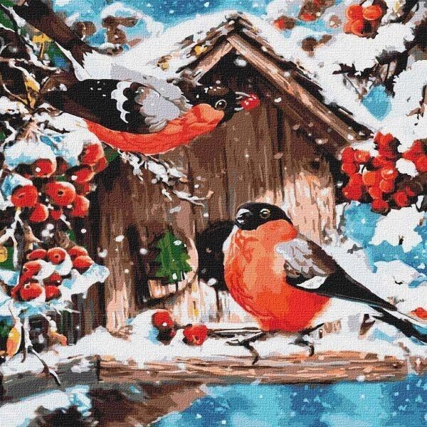 Számfestő - Téli madárkák 40x40 cm