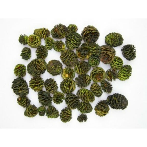 Salignum 50g/cs ZÖLD