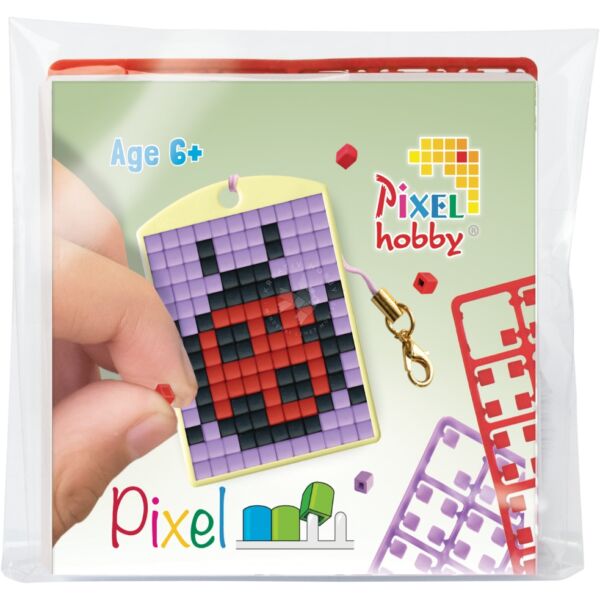 Pixel kulcstartó szett, színes alaplappal - KATICA