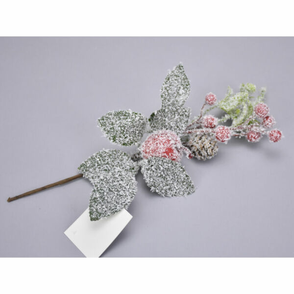  Hamvas bogyós ág almával 28cm