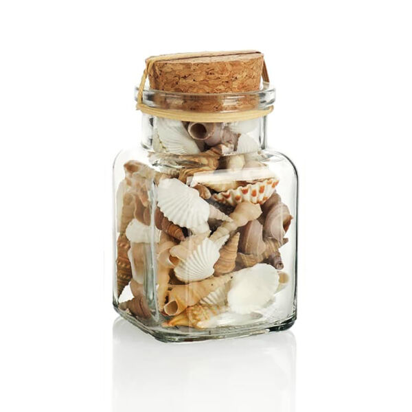 kagylók és csigaházak üvegben