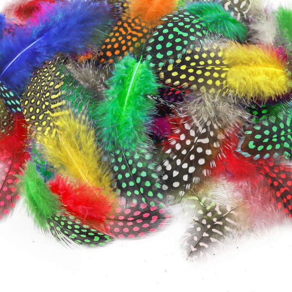 Gyöngytyúk toll, FESTETT 25db