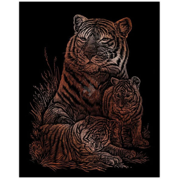 Karckép réz - Tigris