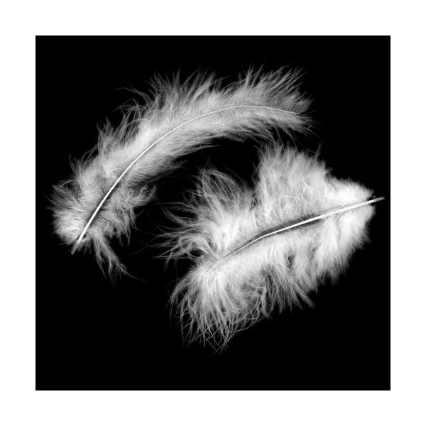 Marabu toll 15db/cs 10-15cm FEHÉR