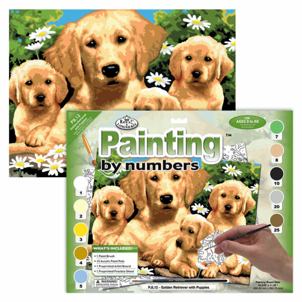 Számozott kifestő - Golden Retrieverek
