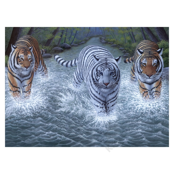 Royal Brush számozott kifestő Három tigris