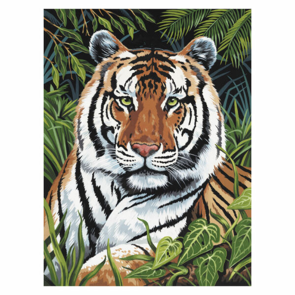 Számozott kifestő - Tigris a fűben