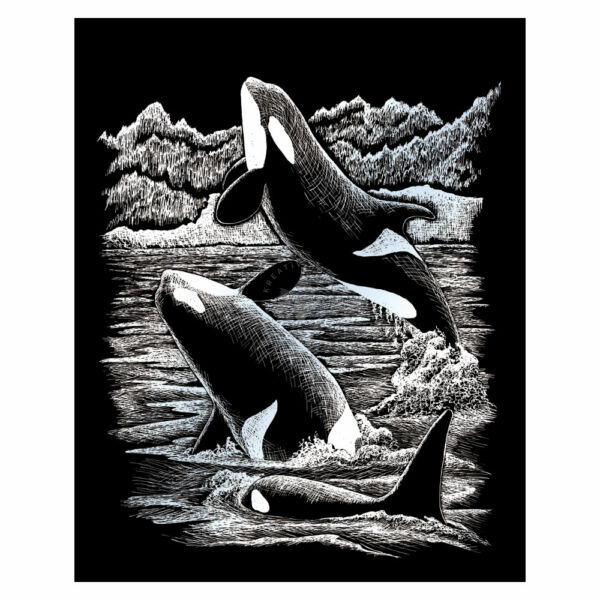 Karckép ezüst - Kardszárnyú delfin