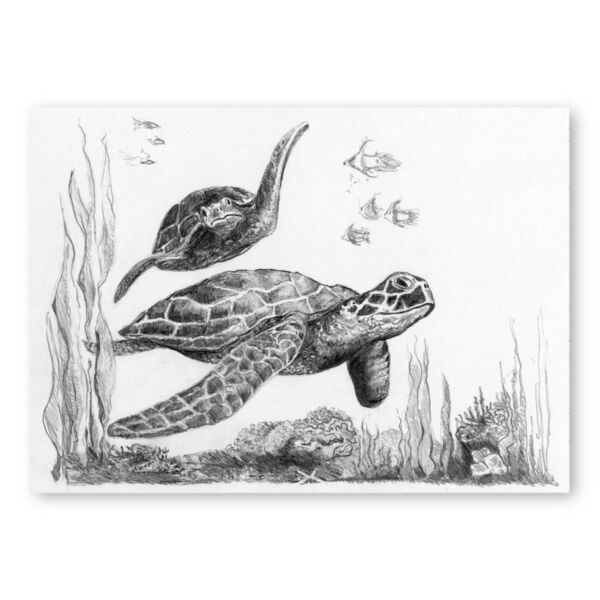 Mini grafikai készlet - Teknősök 