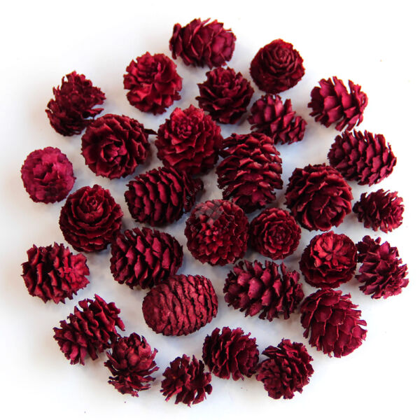 Salignum 50/g BORDÓ