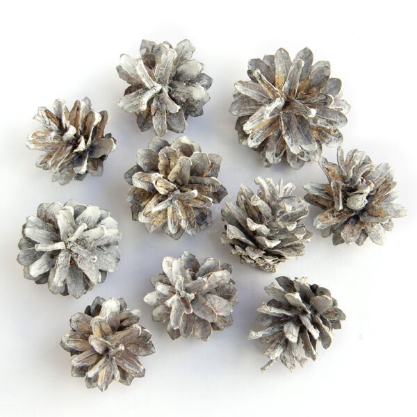 Zúzmarás toboz 10db