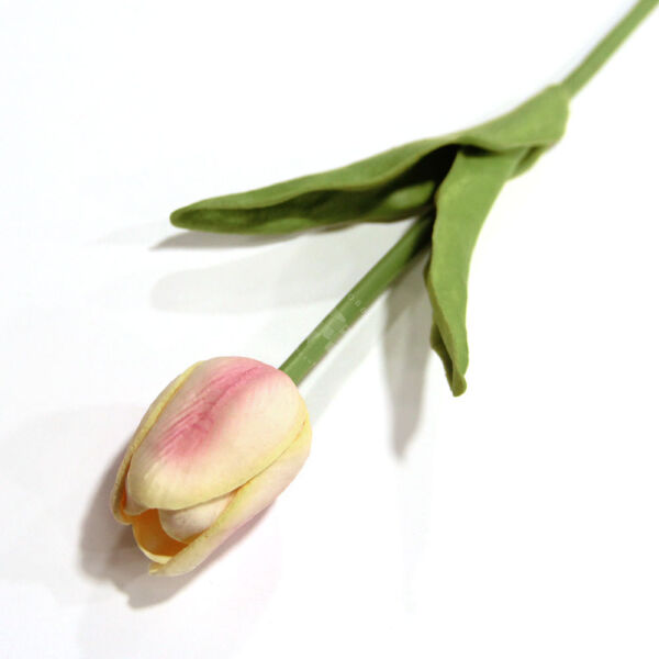 Szálas tulipán sárgás rózsaszín