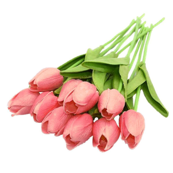 Szálas tulipán Rózsaszín