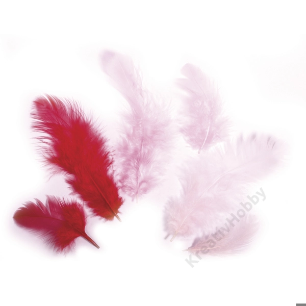 piros-rózsaszín madártoll