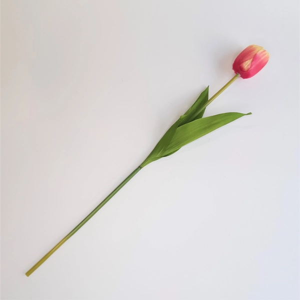 szálas tulipán
