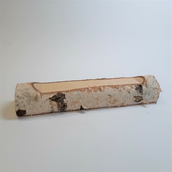 Nyírfarönk 30x5cm