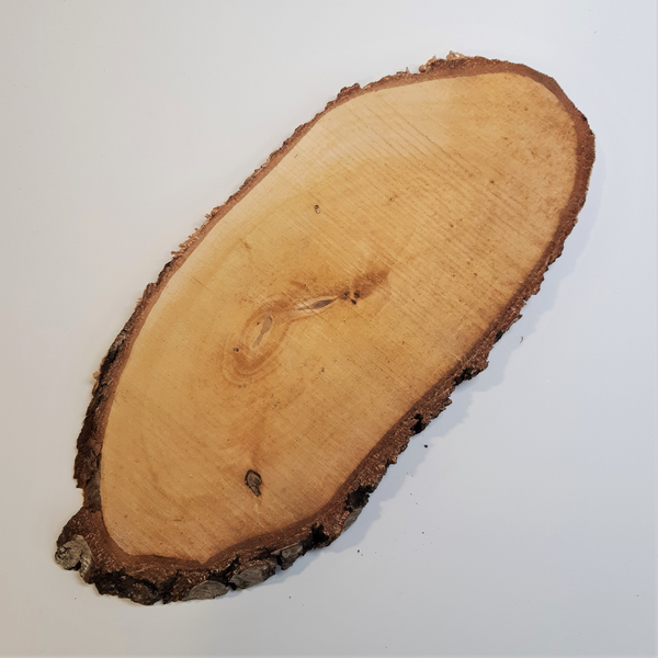Tölgyfa szelet ovális kb.39x17cm