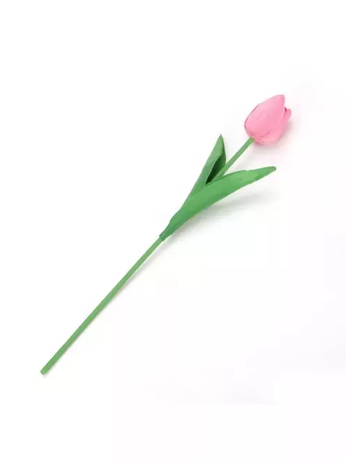 Szálas tulipán Rózsaszín 50cm