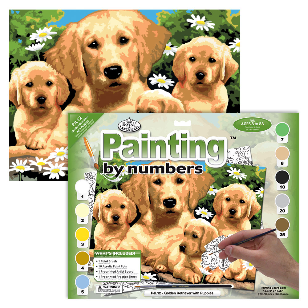 Számozott kifestő - Golden Retrieverek