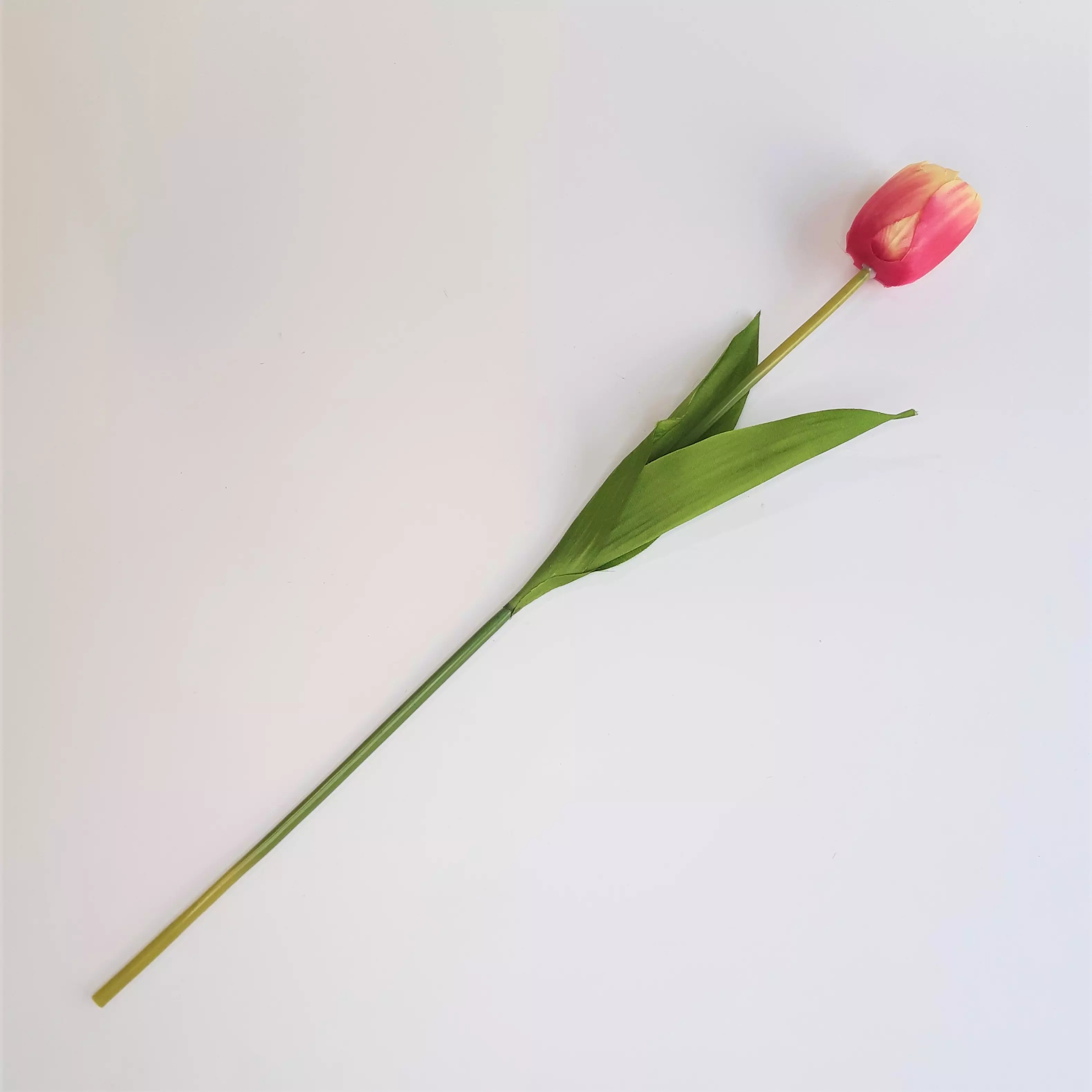Szálas tulipán, Piros-sárga 50cm